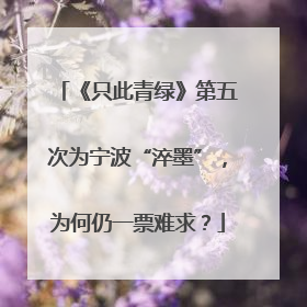 《只此青绿》第五次为宁波“淬墨”，为何仍一票难求？