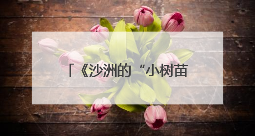 《沙洲的“小树苗”》：新时代中国少年的成长缩影