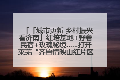 「城市更新 乡村振兴看济南」红培基地+野奢民宿+玫瑰秘境……打开莱芜“齐鲁情映山红片区”的破圈秘籍