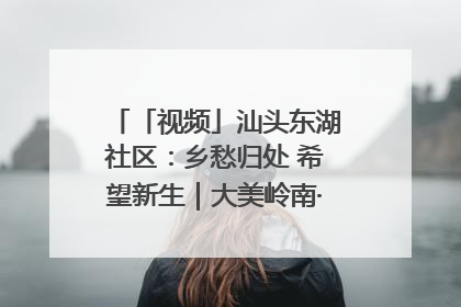 「视频」汕头东湖社区：乡愁归处 希望新生｜大美岭南·百村焕新记