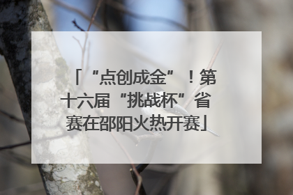“点创成金”！第十六届“挑战杯”省赛在邵阳火热开赛