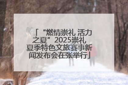 “燃情崇礼 活力之夏”2025崇礼夏季特色文旅赛事新闻发布会在张举行
