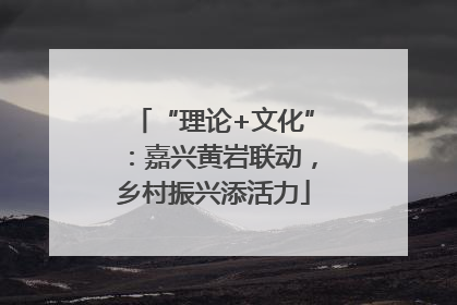 “理论+文化”：嘉兴黄岩联动，乡村振兴添活力