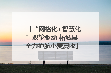 “网格化+智慧化”双轮驱动 柘城县全力护航小麦夏收