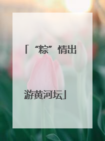 “粽”情出游黄河坛