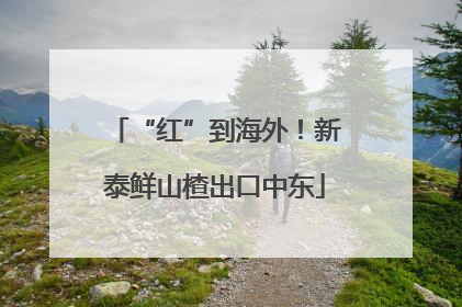 “红”到海外！新泰鲜山楂出口中东