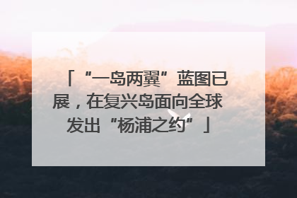 “一岛两翼”蓝图已展，在复兴岛面向全球发出“杨浦之约”