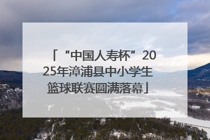 “中国人寿杯”2025年漳浦县中小学生篮球联赛圆满落幕