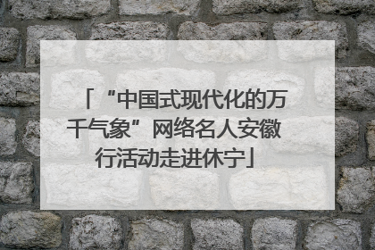 “中国式现代化的万千气象”网络名人安徽行活动走进休宁