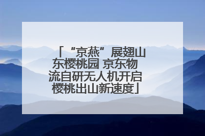 “京燕”展翅山东樱桃园 京东物流自研无人机开启樱桃出山新速度