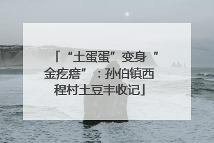 “土蛋蛋”变身“金疙瘩”：孙伯镇西程村土豆丰收记