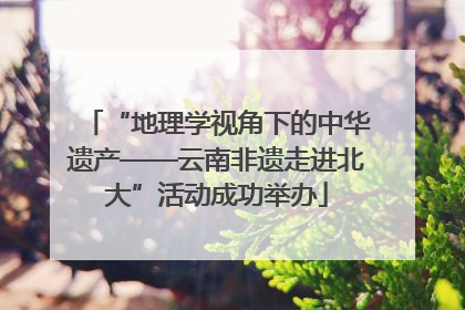“地理学视角下的中华遗产——云南非遗走进北大”活动成功举办