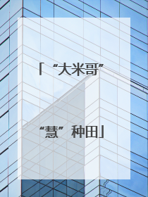 “大米哥”“慧”种田