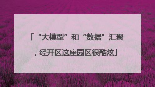 “大模型”和“数据”汇聚，经开区这座园区很酷炫