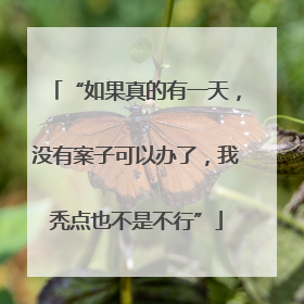 “如果真的有一天，没有案子可以办了，我秃点也不是不行”
