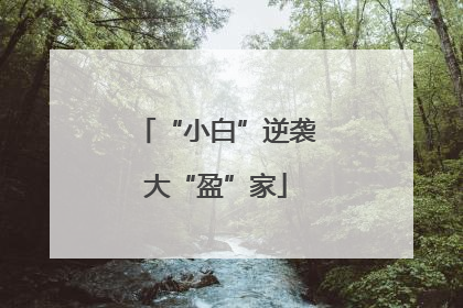 “小白”逆袭大“盈”家