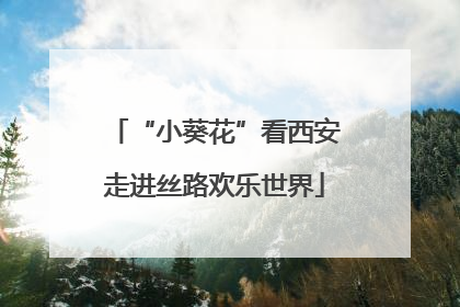 “小葵花”看西安走进丝路欢乐世界