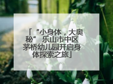 “小身体，大奥秘” 乐山市中区茅桥幼儿园开启身体探索之旅