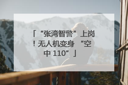 “张湾智警”上岗！无人机变身 “空中 110”