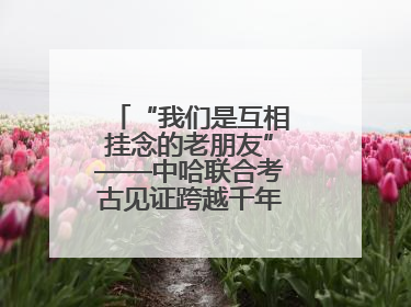 “我们是互相挂念的老朋友”——中哈联合考古见证跨越千年的文明交响