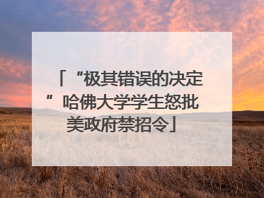 “极其错误的决定”哈佛大学学生怒批美政府禁招令