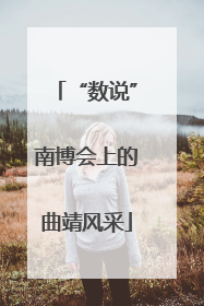 “数说”南博会上的曲靖风采