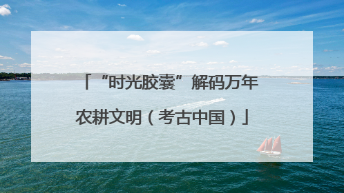“时光胶囊”解码万年农耕文明（考古中国）