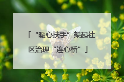 “暖心扶手”架起社区治理“连心桥”