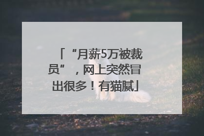 “月薪5万被裁员”，网上突然冒出很多！有猫腻
