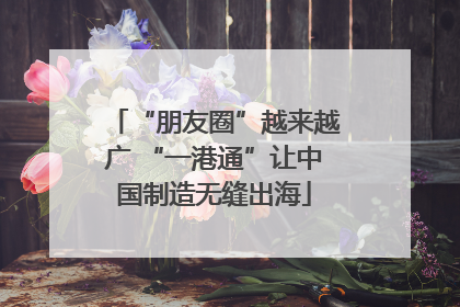 “朋友圈”越来越广 “一港通”让中国制造无缝出海