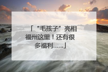 “毛孩子”亮相福州这里！还有很多福利……