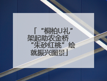 “桐柏U礼”架起助农金桥 “朱砂红桃”绘就振兴图景