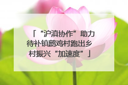 “沪滇协作”助力待补镇鹧鸡村跑出乡村振兴“加速度”