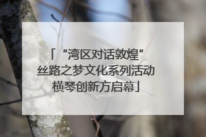 “湾区对话敦煌” 丝路之梦文化系列活动横琴创新方启幕