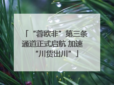 “蓉欧非”第三条通道正式启航 加速“川货出川”