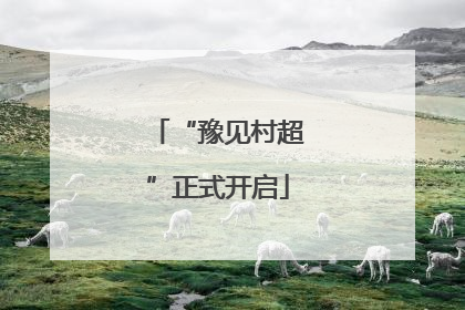 “豫见村超”正式开启