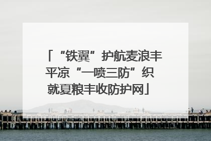 “铁翼”护航麦浪丰 平凉“一喷三防”织就夏粮丰收防护网