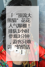 “顶流大熊猫”花花人气爆棚！排队1小时参观3分钟，游客只敢讲“悄悄话”