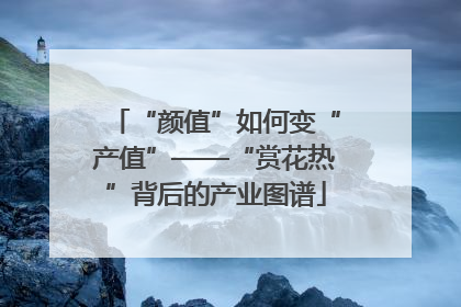 “颜值”如何变“产值”——“赏花热”背后的产业图谱