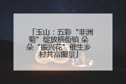 玉山：五彩“非洲菊”绽放横街镇 朵朵“振兴花”催生乡村共富图景