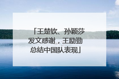 王楚钦、孙颖莎发文感谢，王励勤总结中国队表现