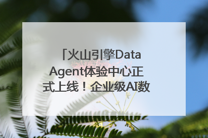 火山引擎Data Agent体验中心正式上线！企业级AI数据专家触手可及