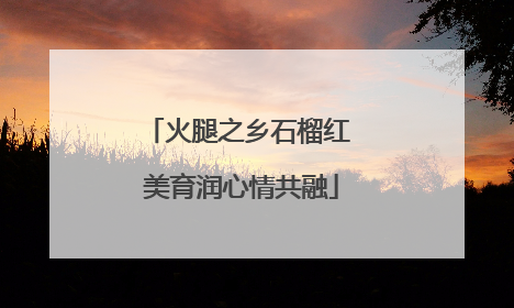 火腿之乡石榴红 美育润心情共融