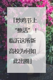 炒鸡节上“整活”！临沂这所新高校为何如此出圈