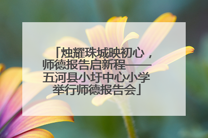 烛耀珠城映初心，师德报告启新程——五河县小圩中心小学举行师德报告会