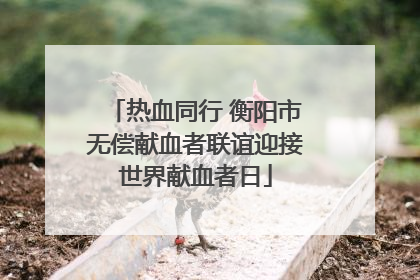 热血同行 衡阳市无偿献血者联谊迎接世界献血者日