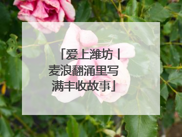 爱上潍坊丨麦浪翻涌里写满丰收故事