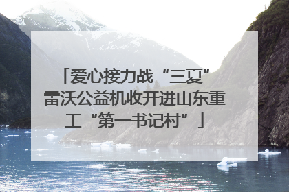 爱心接力战“三夏” 雷沃公益机收开进山东重工“第一书记村”