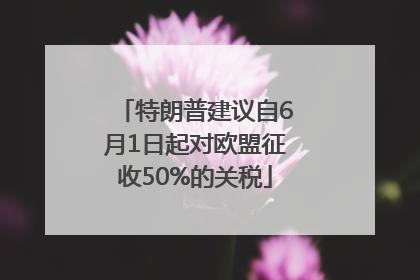 特朗普建议自6月1日起对欧盟征收50%的关税