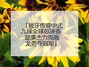 独牙传奇中式九球全球总决赛 楚秉杰力克周龙勇夺冠军